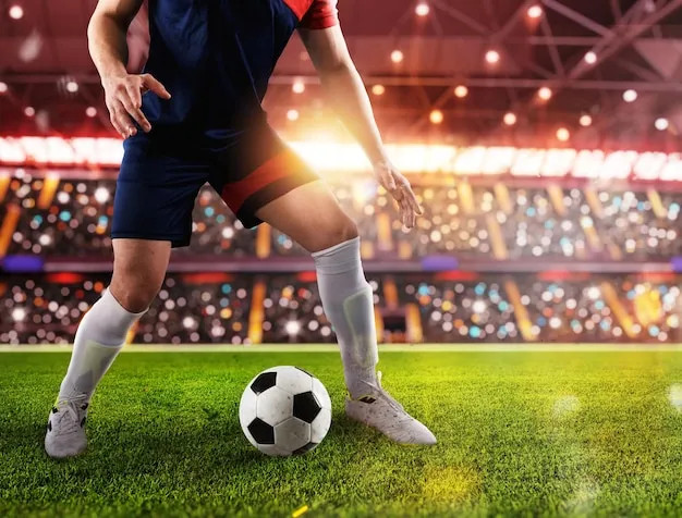 NG体育应用界面展示